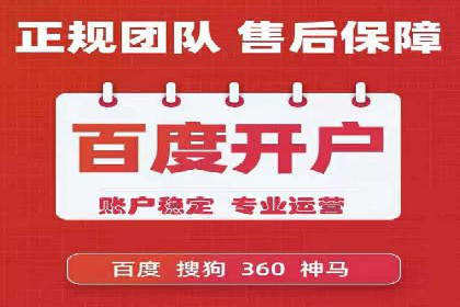 SEM服务案例：打造行业领先品牌